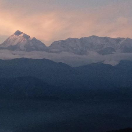 Golden Himalaya Homestay Kausani Exteriör bild